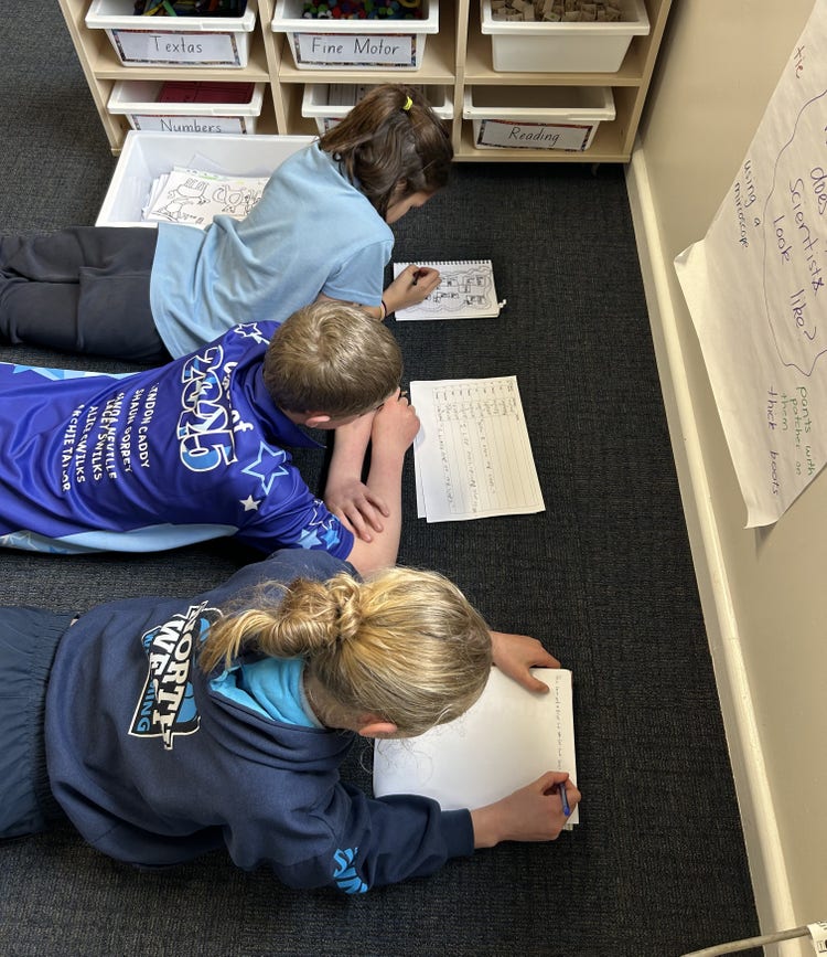 Students in extended writing group